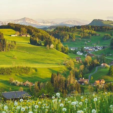Hotel Kronelodge - Self-check-in Mosnang